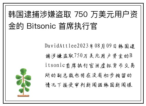 韩国逮捕涉嫌盗取 750 万美元用户资金的 Bitsonic 首席执行官 